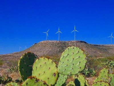 Wind turbines on the Desert Sky Wind Farm near Iraan in Pecos County West Texas (Credit: Edward Jackson via en.wikipedia.org)