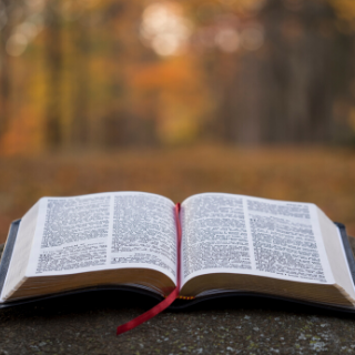 10 Things the Bible Doesn’t Say That Christians Often Do