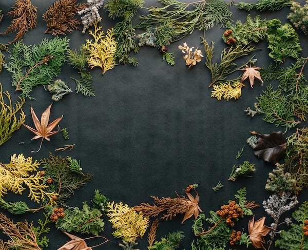 Evergreen and fall leaves decoration