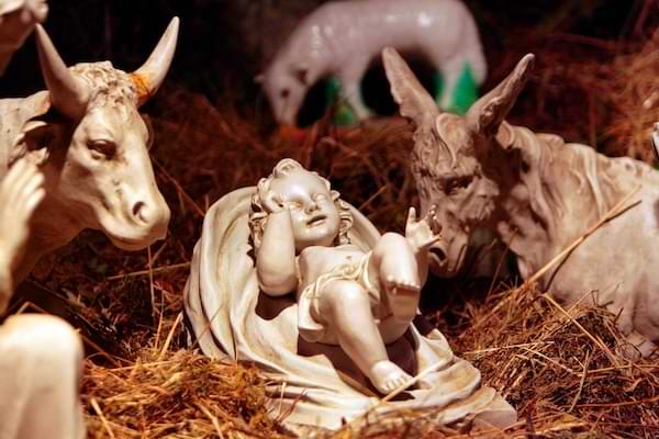 Two donkey figurines looking over a baby Jesus figurine in a manger