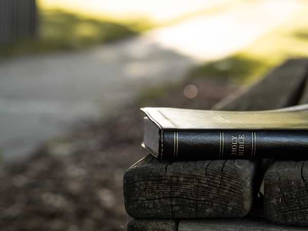Holy Bible on a wooden bench next to a path