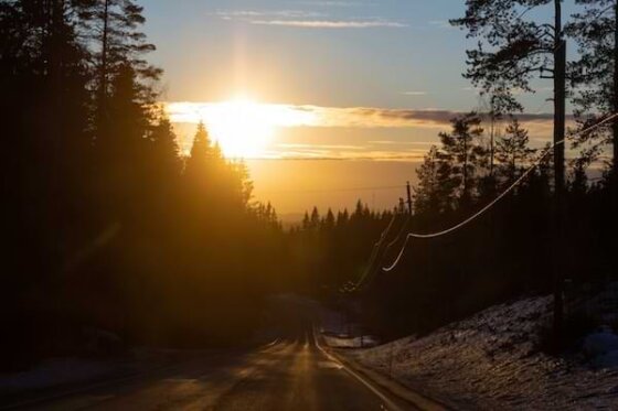 Sunlight shining in the middle of a wooded roadway.