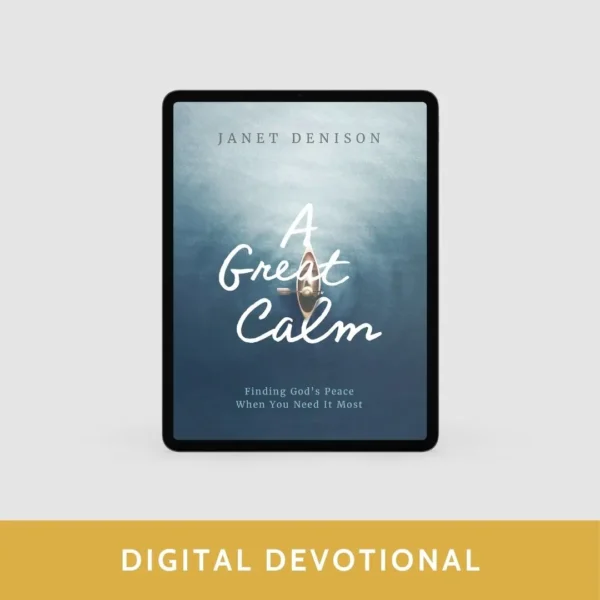 A Great Calm (E-Book)