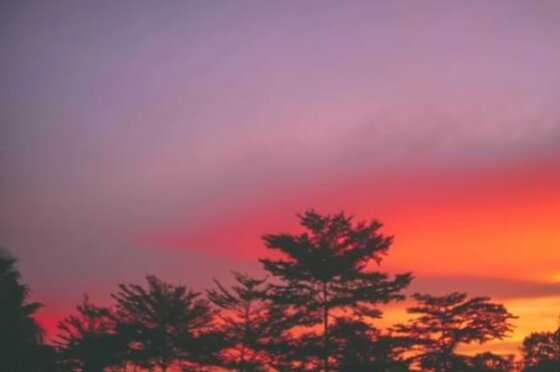 Shades of purple, red, and orange paint a sky over the tops of trees.