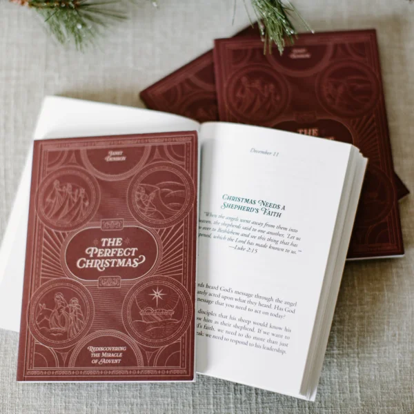 The Perfect Christmas Bundle - Image 7