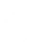 Foundations with Janet Denison icon in white