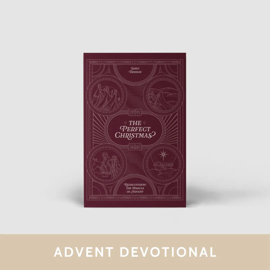 The Perfect Christmas