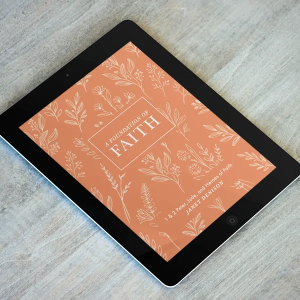 A Foundation of Faith Bible Study (26 Week Study) - Image 3