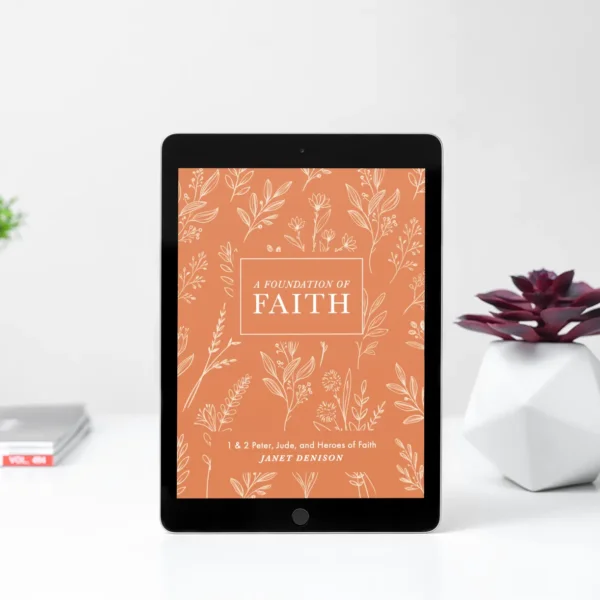 A Foundation of Faith Bible Study (26 Week Study) - Image 5