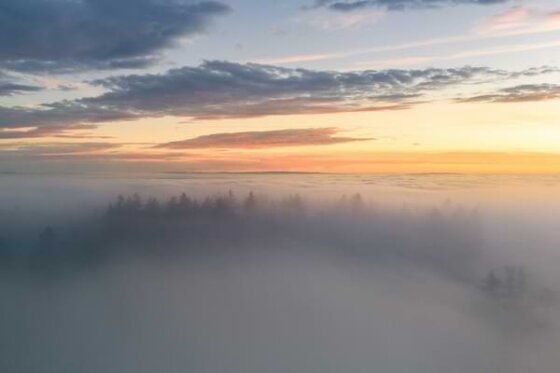 The sun rising over a fog-covered tree line