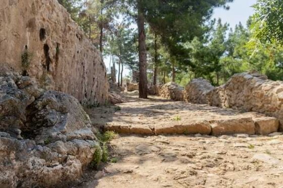 Ancient light colored stone pathway leading up toward a treed area with a stone wall to the left and shorter stone wall to the right