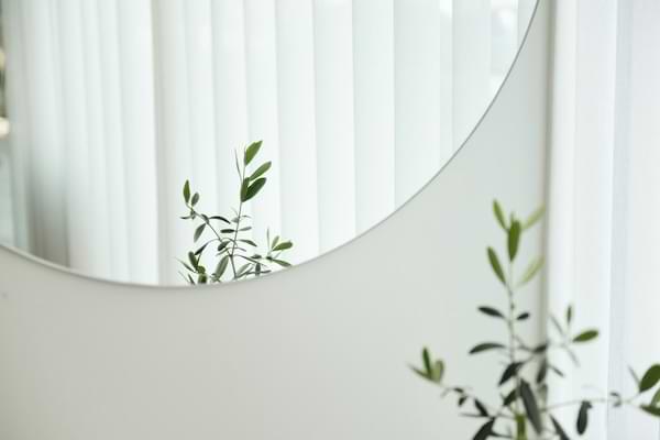 A conversation with our mirror