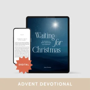 Waiting for Christmas (E-Book)