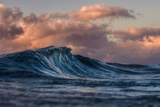 An ocean wave beginning to swell up against pink and orange clouds