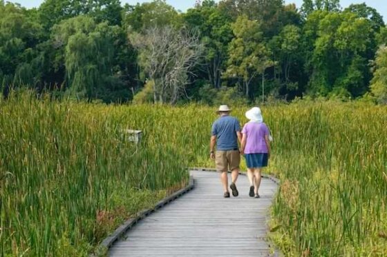 agine couple-walking-on-a-wooden-boardwalk-through-tall-grass-