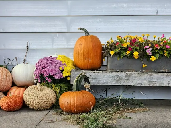 Halloween humbug